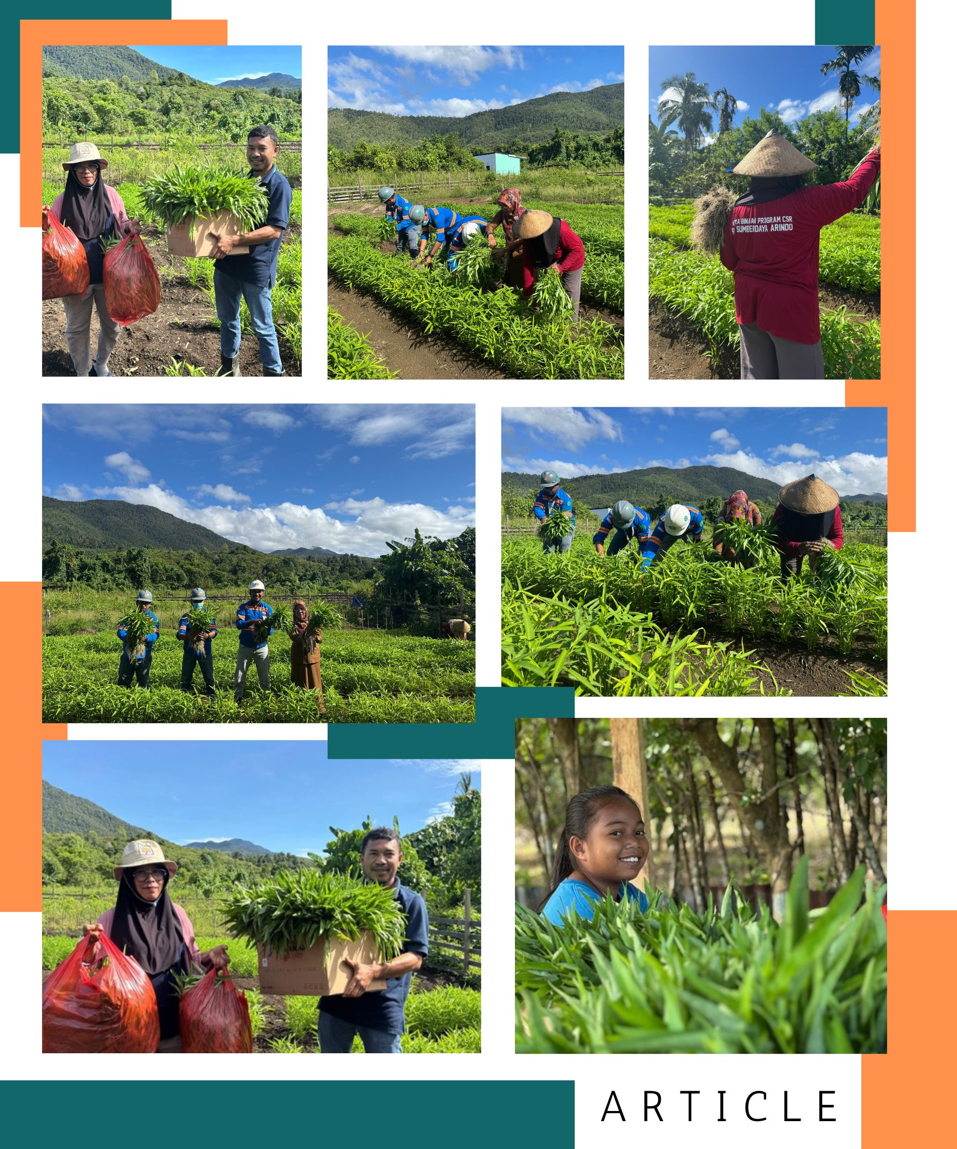 Sinergi Tambang dan Tani: Fun Nabetli Wujudkan Ekonomi Hijau di Lingkar Tambang Halmahera Timur