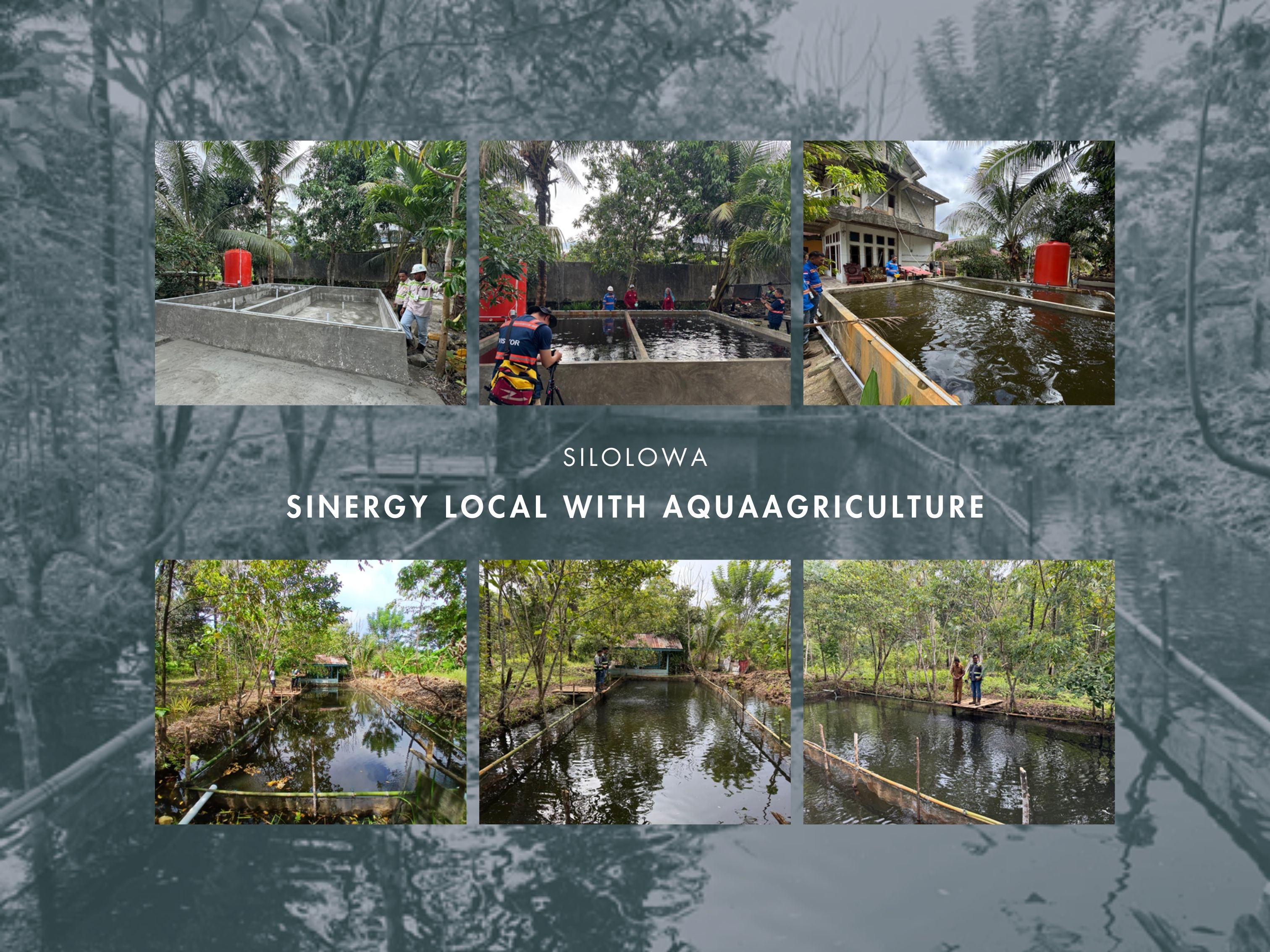 Silolowa (Sinergy Local with Aquaagriculture): Budidaya Ikan Air Tawar sebagai Solusi Pemberdayaan Masyarakat Sekitar Tambang